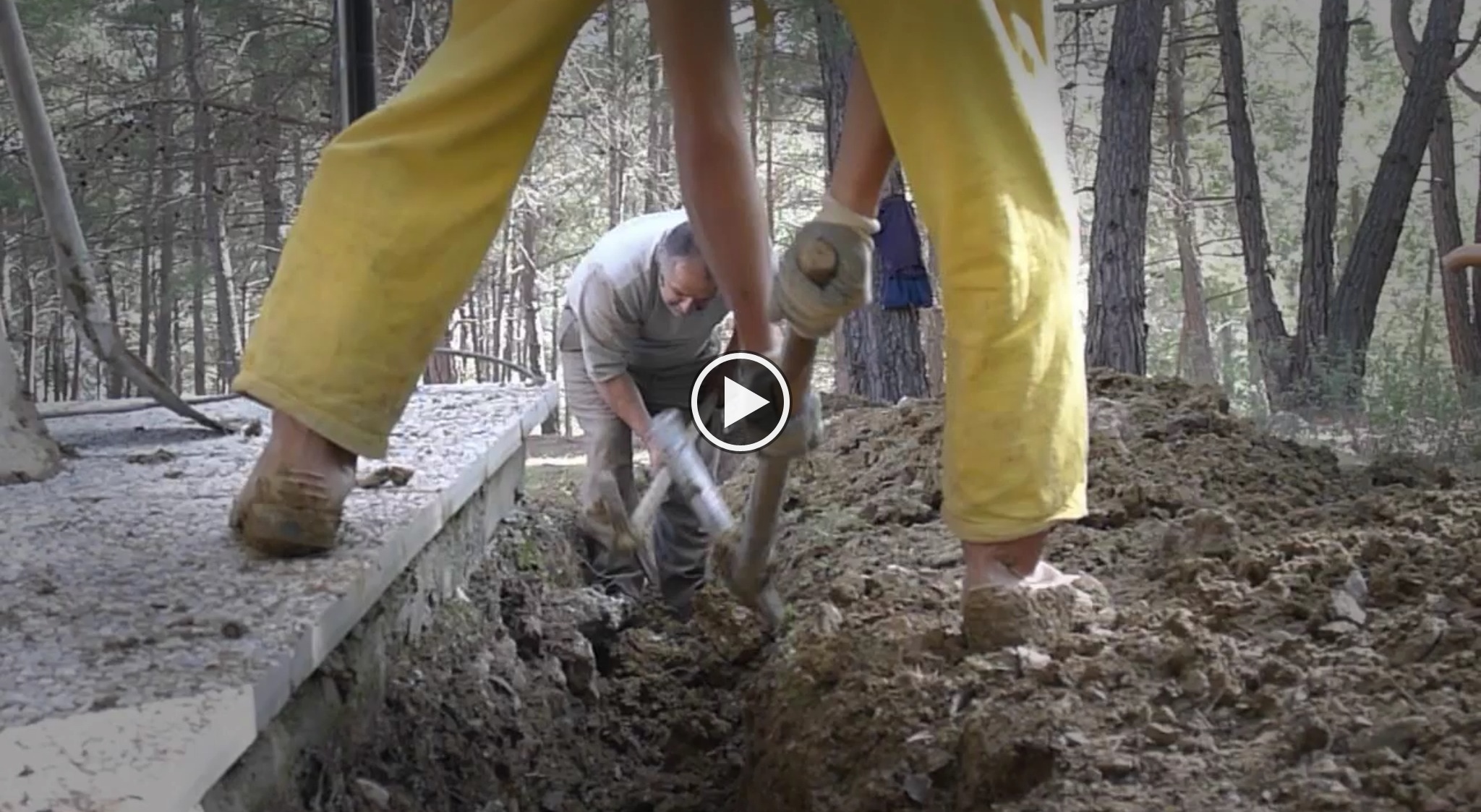 Video: WWOOFing Isn’t Necessary For Cats Who Farmstay Volunteer