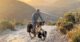 bike touring south africa